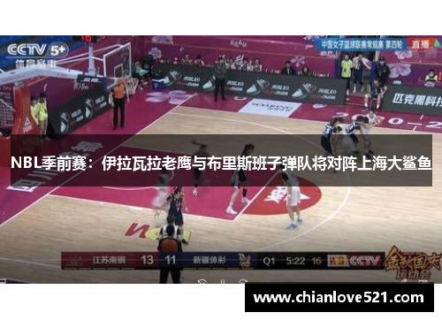 NBL季前赛：伊拉瓦拉老鹰与布里斯班子弹队将对阵上海大鲨鱼