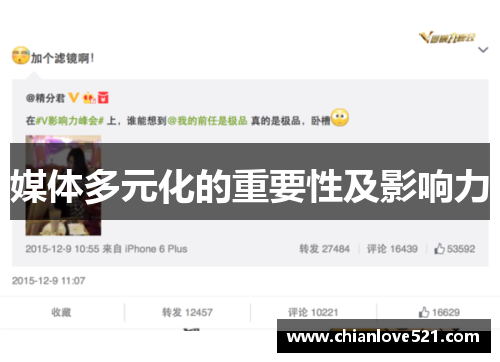 媒体多元化的重要性及影响力